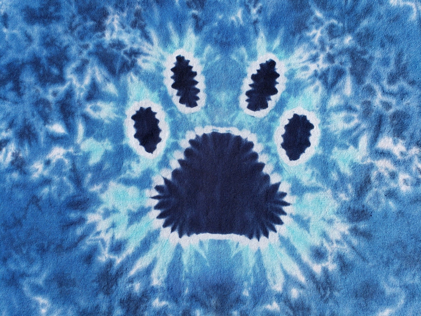 Handmade Blue Tie Dye Paw Print Tee